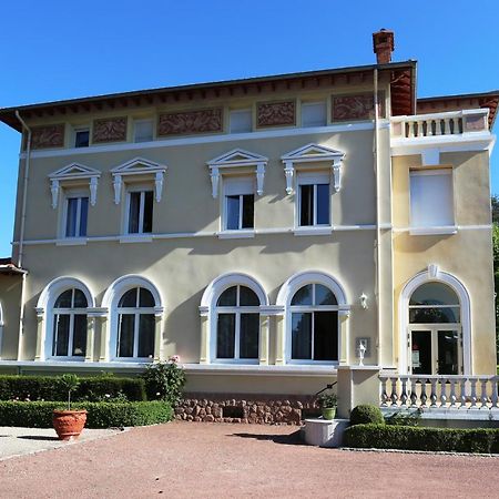 Chateau Blanchard Chazelles-sur-Lyon Екстериор снимка